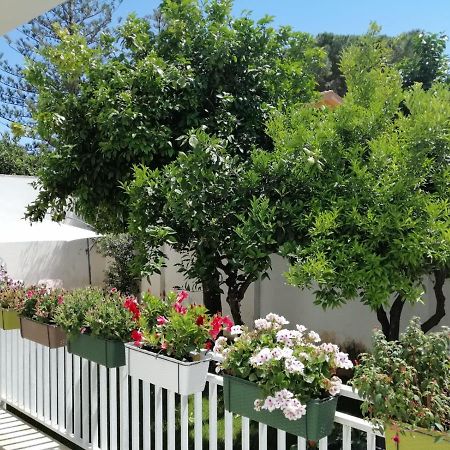 Вілла Mondello Beach The House With Green Lawns Екстер'єр фото